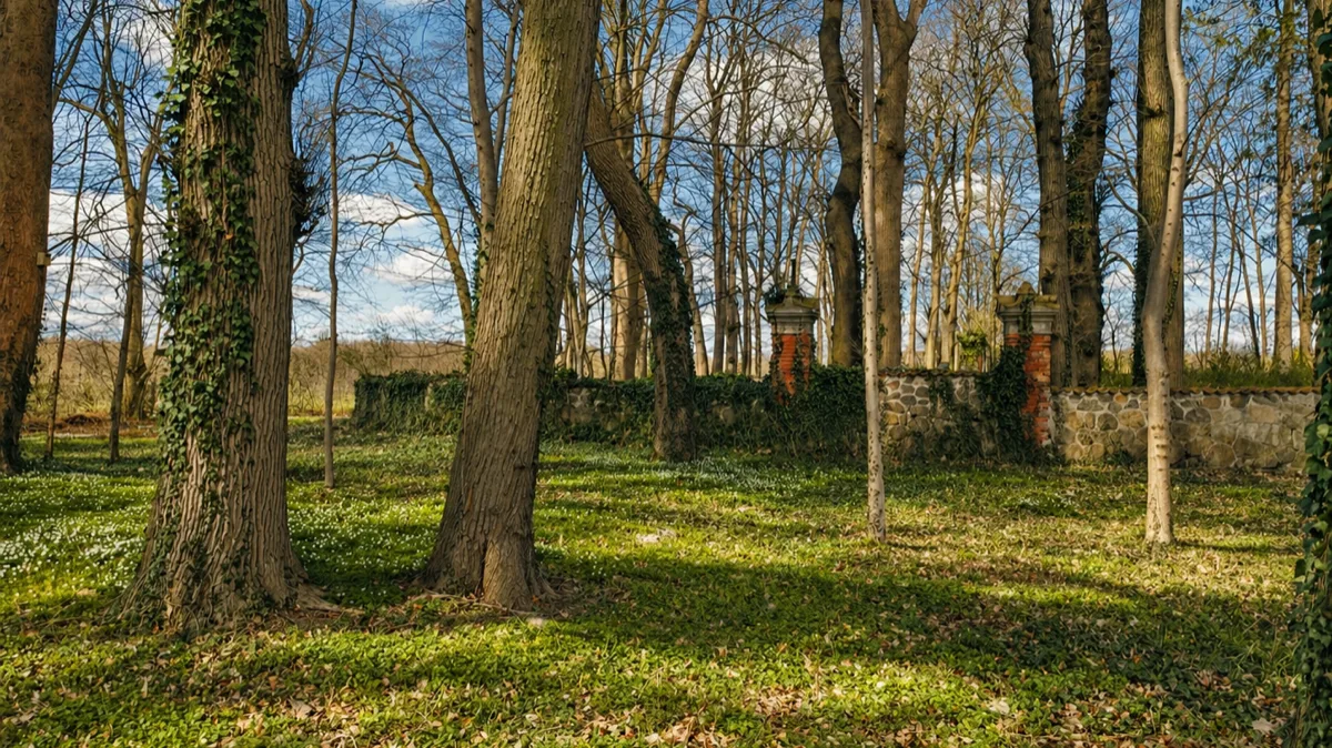 Park zamkowy Groß Potrems ze starymi drzewami, bluszczem i historycznym kamiennym murem